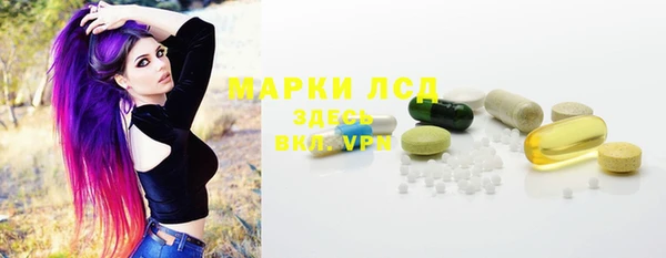 прущие грибы Магадан